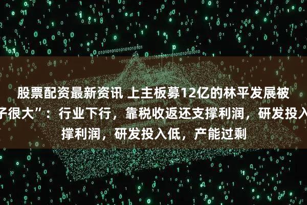 股票配资最新资讯 上主板募12亿的林平发展被股民戏称“胆子很大”：行业下行，靠税收返还支撑利润，研发投入低，产能过剩